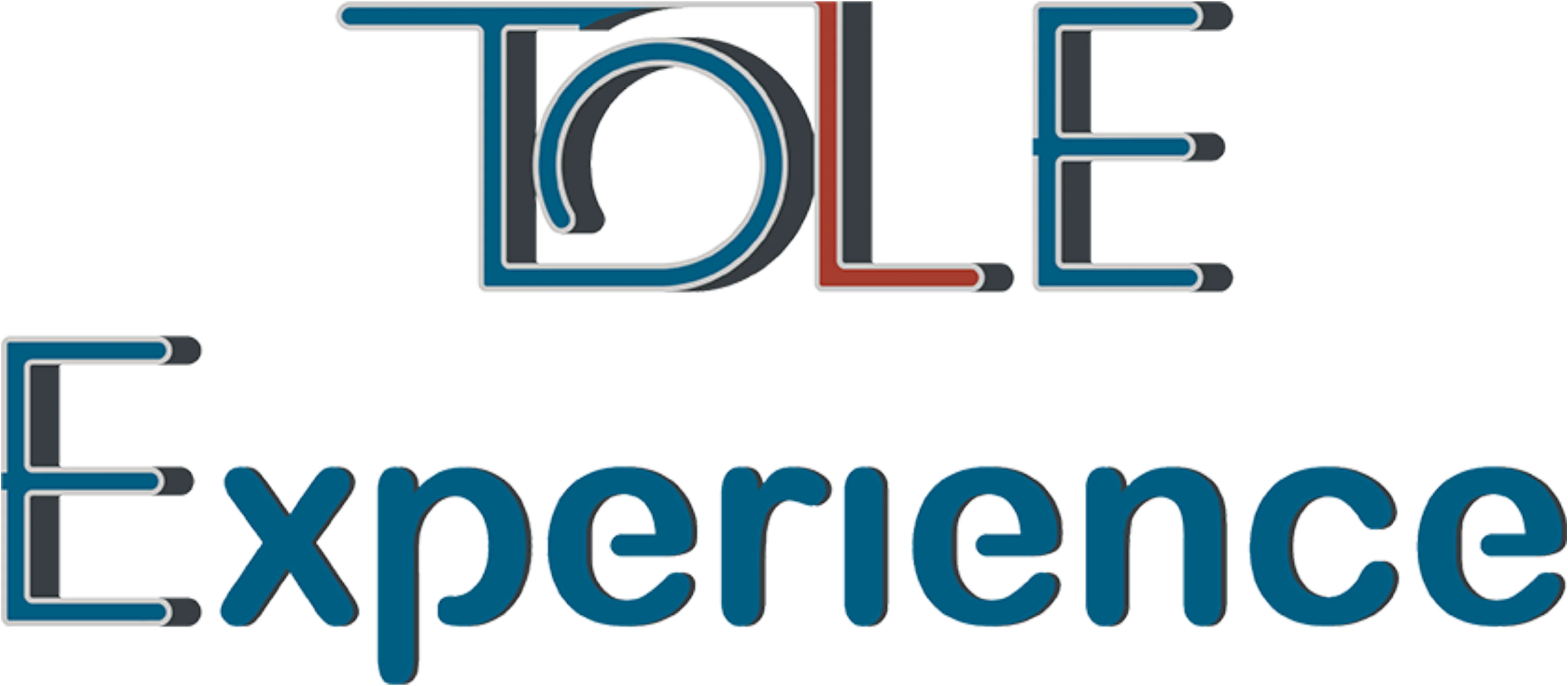 TOLExperience
